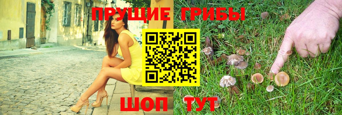 Псилоцибиновые грибы прущие грибы Красный Сулин