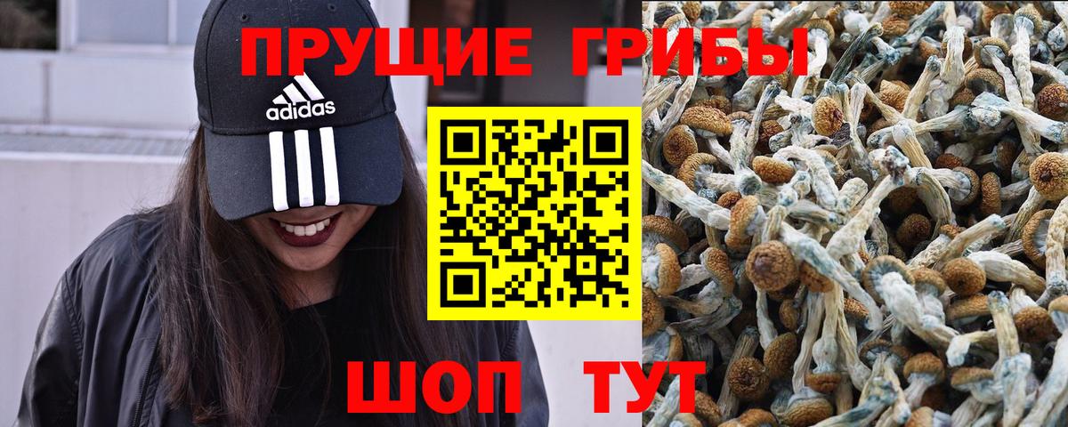 Галлюциногенные грибы мухоморы  Вход с VPN  Красный Сулин 